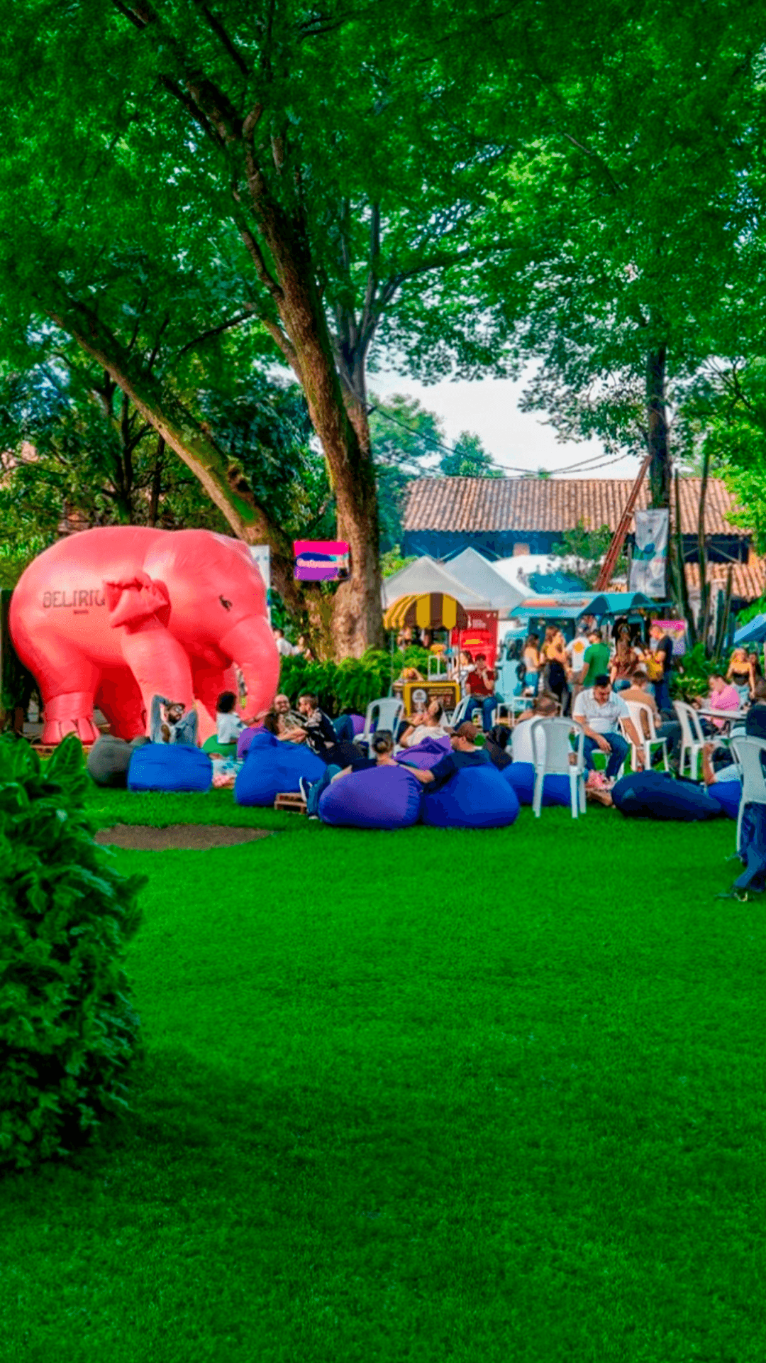 Festival de las chelas